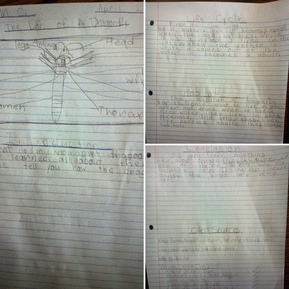 BoatwrightMissi's tweet photo. This sweet kiddo blew me away with her amazing writing skills and knowledge of an informational piece! Proud teacher right here! #STEAMatStribling #2ndGradeCrew #SuperStarStudent https://t.co/Pxj7si8Ujp