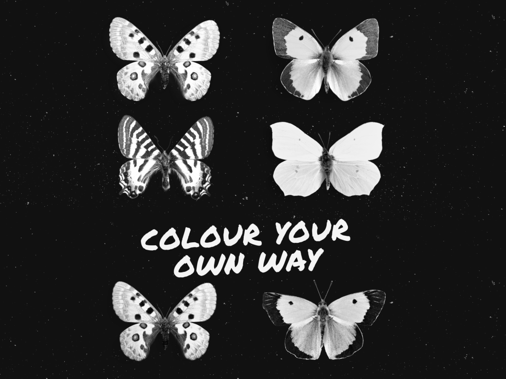 swpeamed's tweet photo. Butterflies- it is time to emerge from that chrysalis and spread those beautiful wings https://t.co/RXDpdVOoC4 https://t.co/VnRvcq3klf