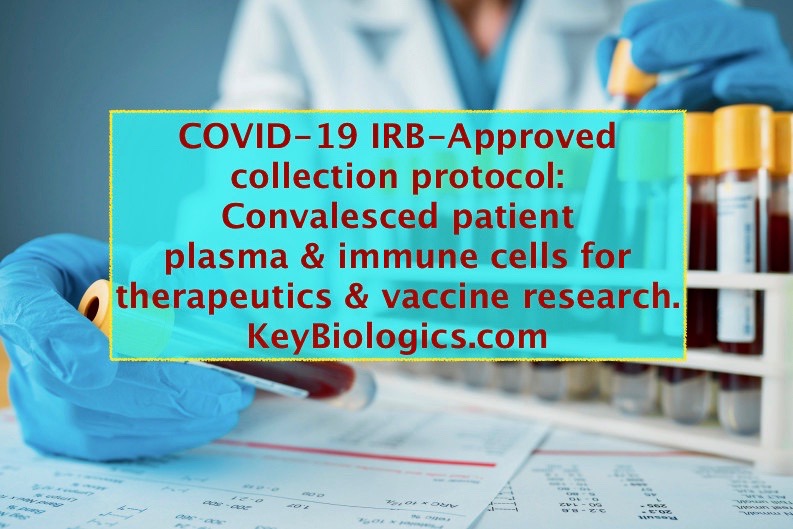 CelleroBio's tweet photo. Key Biologics' blood collections are conducted under oversight by external institutional review board (IRB) Advarra, for the safety, privacy, &amp; confidentiality of its patient &amp; healthy biomaterial donors. #COVID19 #covid-19
#immunotherapy #WSCSummit #Phaciliate #celltherapy https://t.co/VvYPYE1NPE
