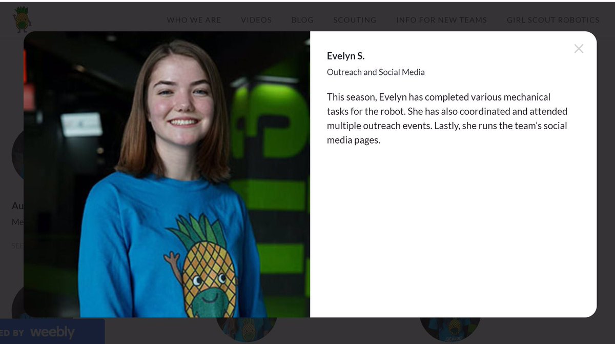 FTC 11104 Bearded Pineapples tweet media