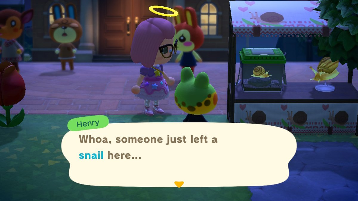 AngieACNH's tweet photo. Introducing Henry to the island mascot, Petunia #AnimalCrossing #ACNH #NintendoSwitch https://t.co/npdYMOPOZJ