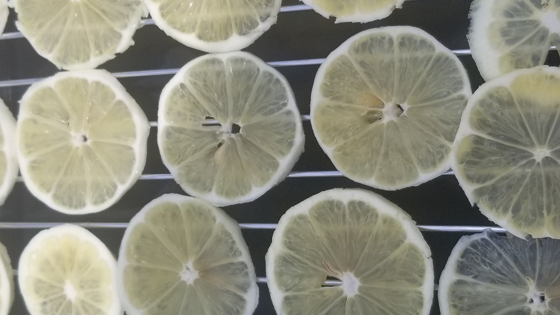 マダム 崖 ブッシュ レモン 天 日干し Omall Jp