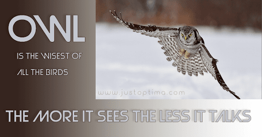 Mehtaab67429270's tweet photo. “The simple things are also the most extraordinary things, and only the wise can see them.”
#Mondaythought #mondayvibes #Mondaymood #Quotes #owl #wise #birds #naturelover #MondayMotivation #Thoughtoftheday https://t.co/nKABrVuRFo