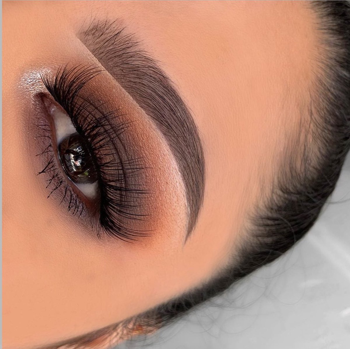 jjessmakeup's tweet photo. Smokey things 🤎
^^^^^^^^^^^^^^^^^^^^^^^^^^^^^^^^^^^^^^
@BenefitBeauty #preciselymybrowpencil &amp; #gimmebrow in shade 5
@MorpheBrushes 35OM pallet https://t.co/sPRokFzSgr