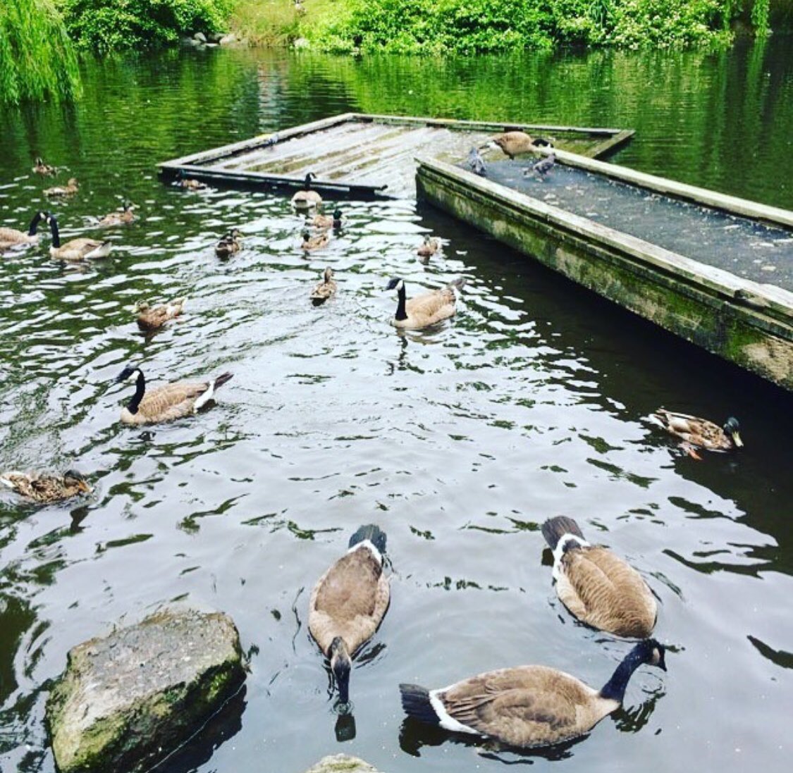 Kids Market tweet media