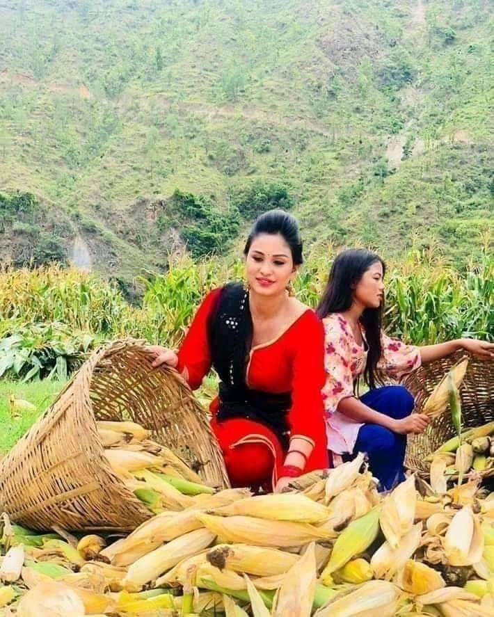 Ramsinghchand5's tweet image. 