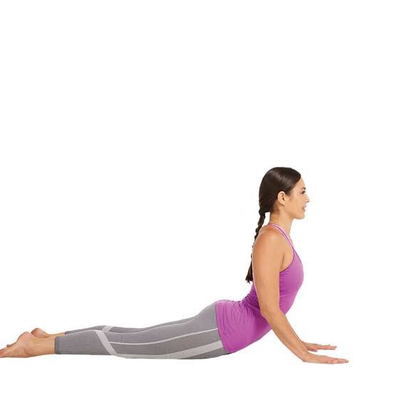 Posture & Mobility tweet media