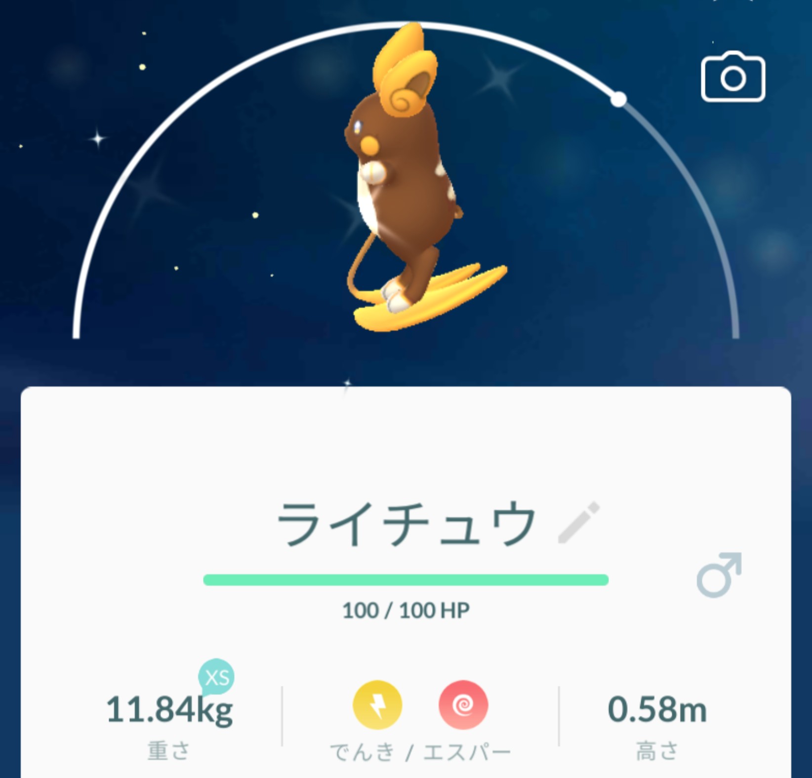 Mitsuki オブ Mitsuki Twitter पर 一発でゲット出来たぁ ᵕ アローラらしい日焼けライチュウ可愛いなぁ 色違いポケモン アローラライチュウ 波乗りライチュウ ポケモンgo T Co Yklsyckafl Twitter