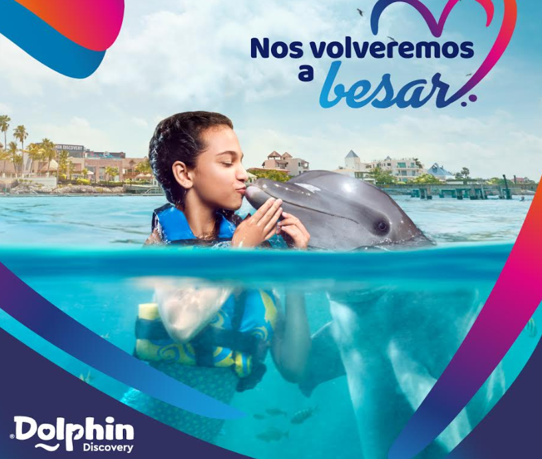 TodoViajesGdl's tweet photo. Hábitats de #TheDolphinCompany reciben Recertificación Internacional de la Asociación de Parques de Mamíferos Marinos y Acuarios (#AMMPA).
"El cuidado y bienestar de nuestros mamíferos es primordial” Dr. Roberto Sánchez.
https://t.co/iC45vnIno8 https://t.co/4t1AA7Nl75