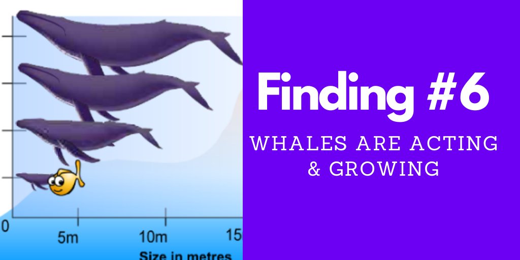 29/109It means our 6th findingFinding #6 - Whales Are Active & GrowingIt means that whale accounts are very active in this down market, and many of them have been accumulating.Existing whales have increased their position by more than 4% in the past 6 months. ($550M USD)