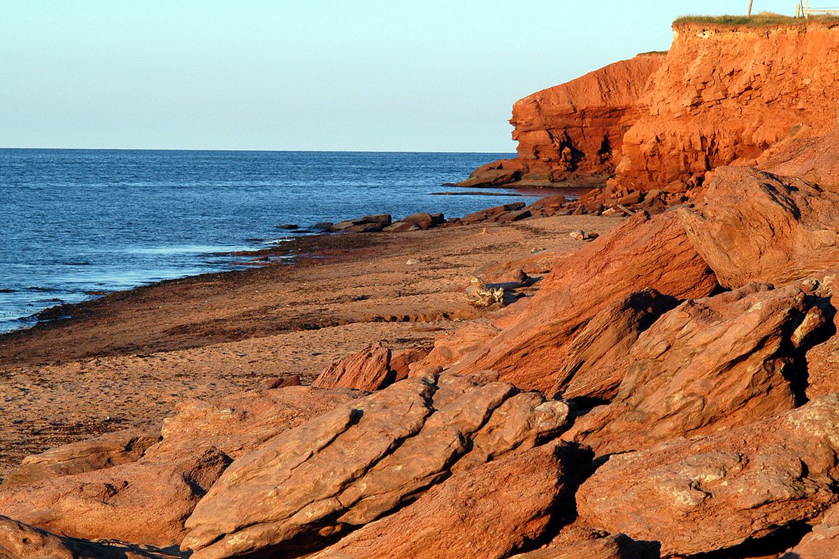 52Museums's tweet photo. We know what you’re thinking: Why all the red dirt? Your rocks are red. Your roads are red. What, is black or brown soil not GOOD ENOUGH for you? Why you gotta be so stuck up, PEI? We can explain… and the explanations involves FOSSILS
#AThread #PEIMuseum #naturalhistory https://t.co/dJorXdWEiu