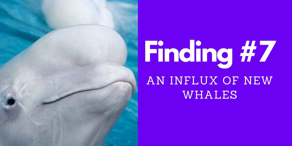 31/109But perhaps more important isFinding #7 - An Influx of New WhalesThere are a SIGNIFICANT number of new wallets in the top 10k who had their first transaction associated with fiat onramp exchanges that serve large scale customers (mostly Gemini, Kraken and Coinbase)