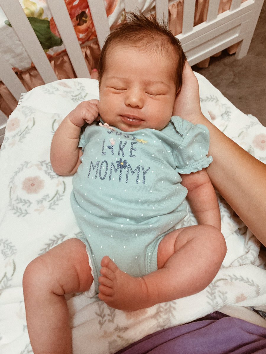 _hannnaa's tweet photo. I haven't introduced Charlee to Twitter 🥺 I love this little babe &amp; her personality already https://t.co/BunXtuedwa