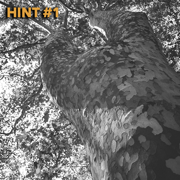 KitBash3D on Twitter: 