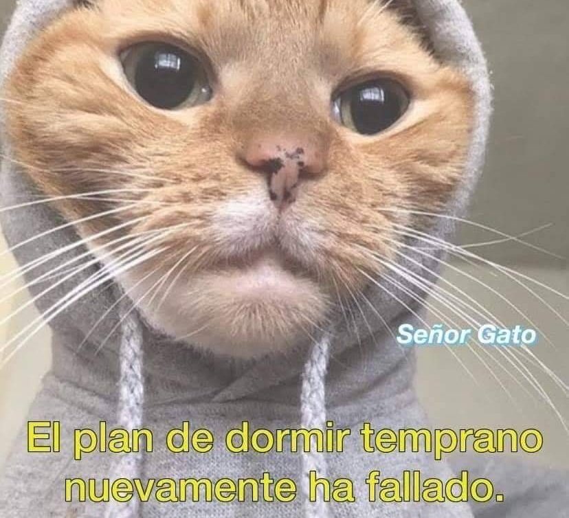 memefeos's tweet photo. https://t.co/498pK1gkUm