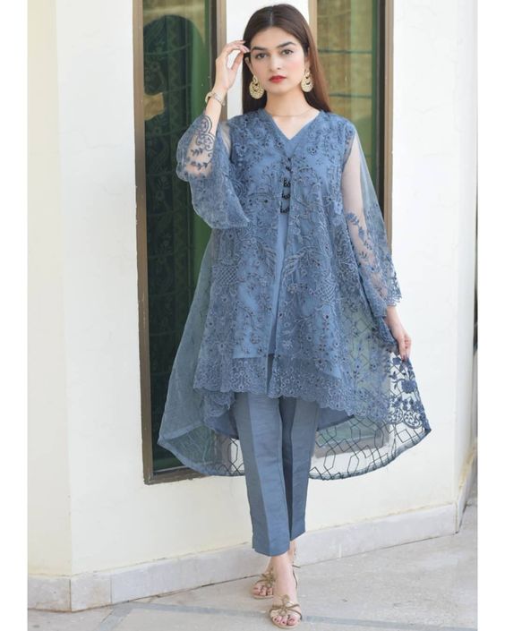 Pakistani Net Dress Design 2023: Fancy Net Dress, Net Frock & Net Maxi  Design Online in Pakistan – DressyZone.com