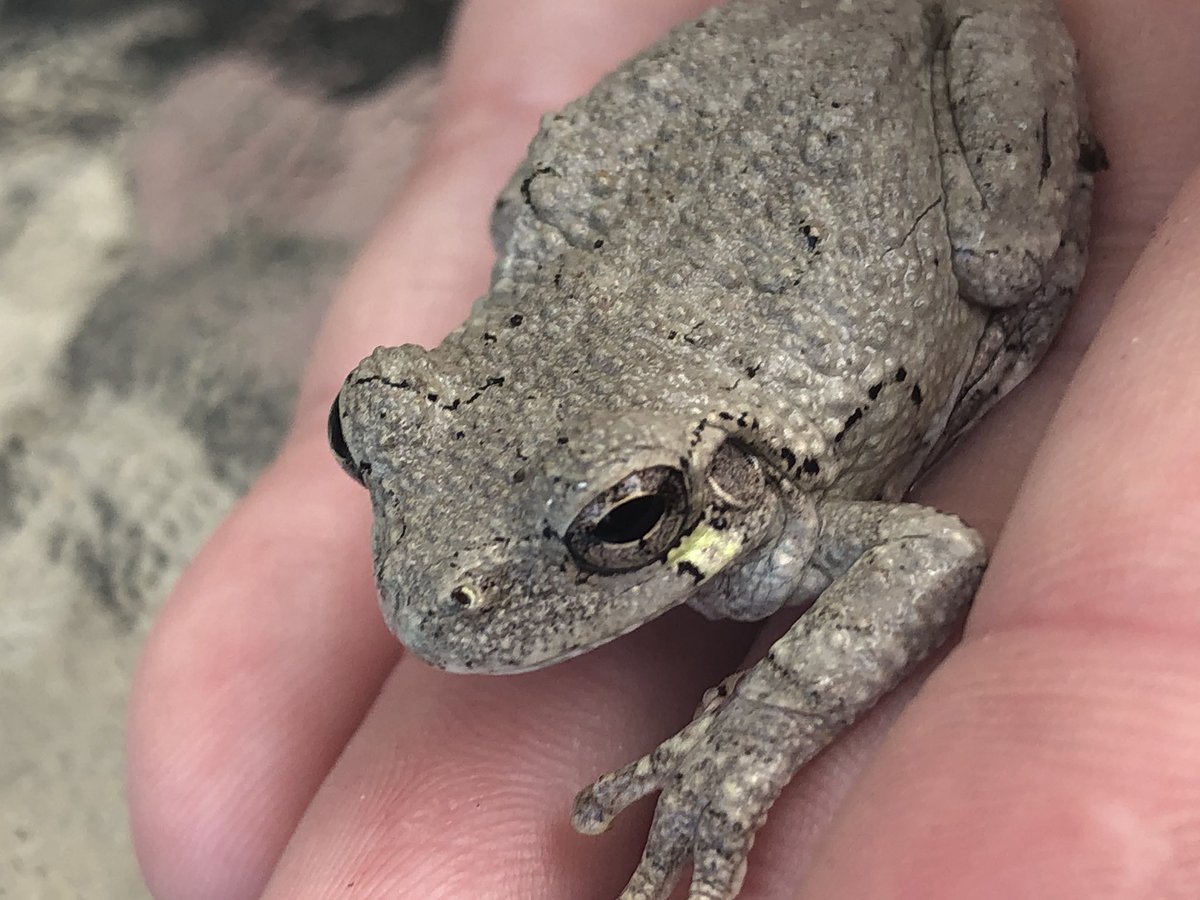 Penny Wilkerson tweet media