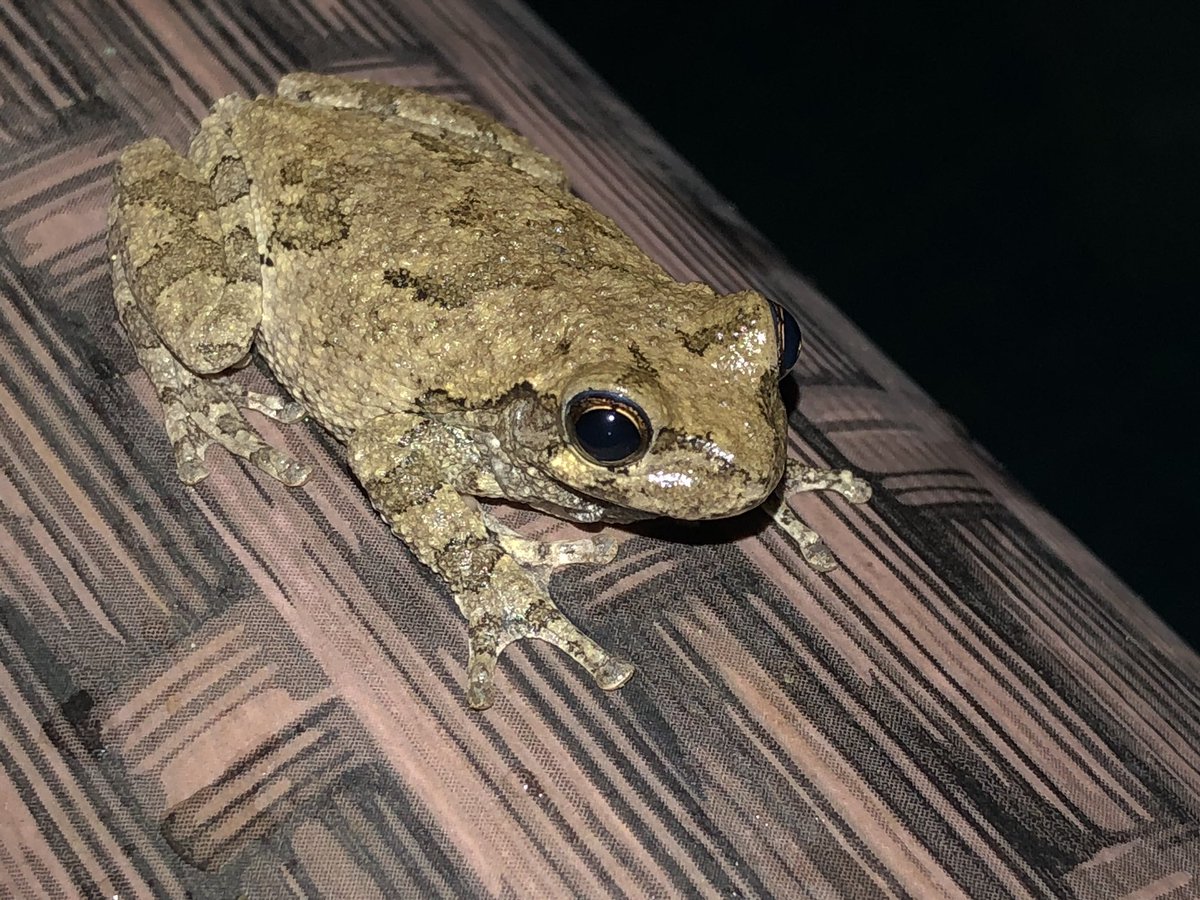 Penny Wilkerson tweet media