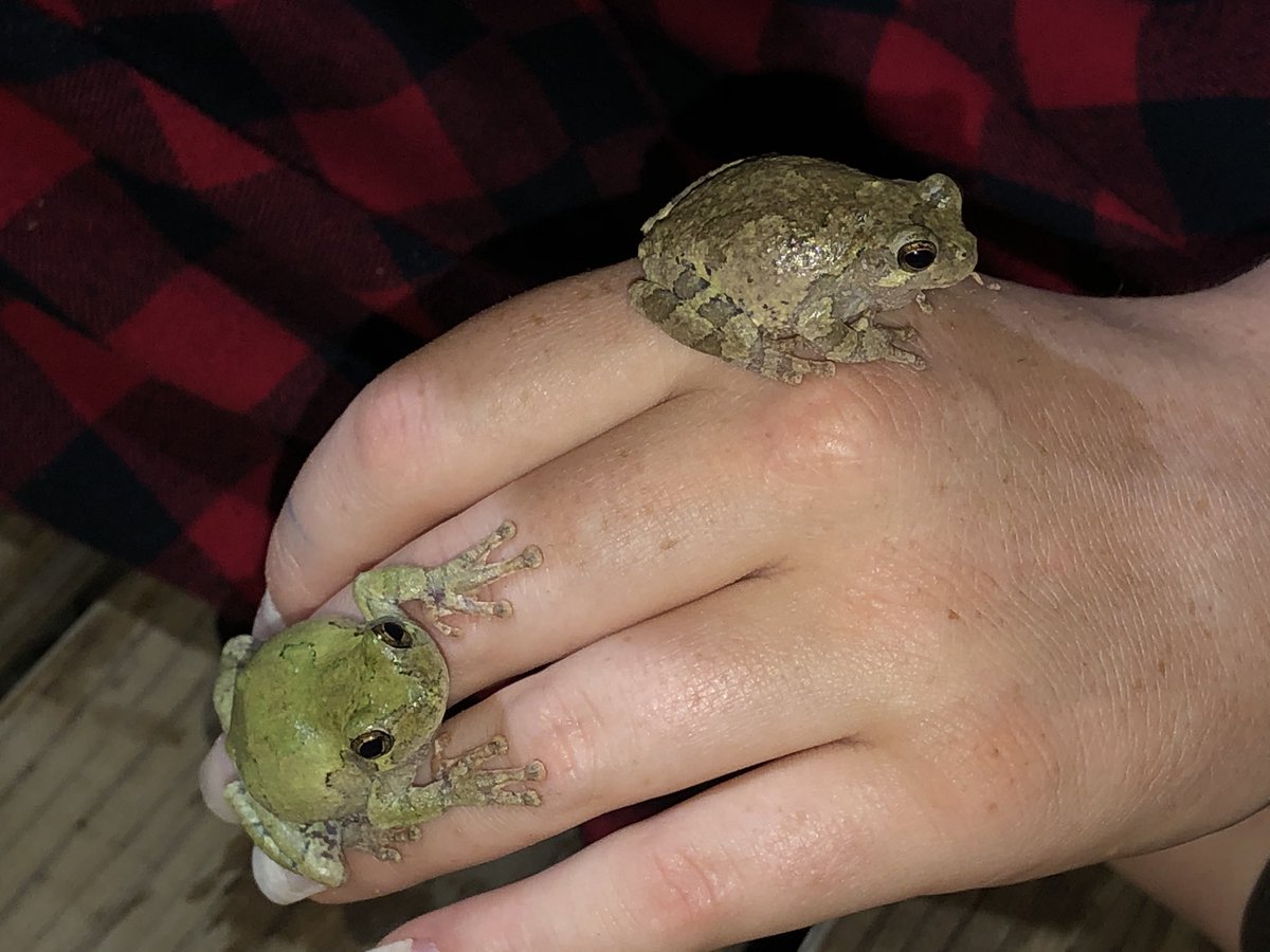 Penny Wilkerson tweet media