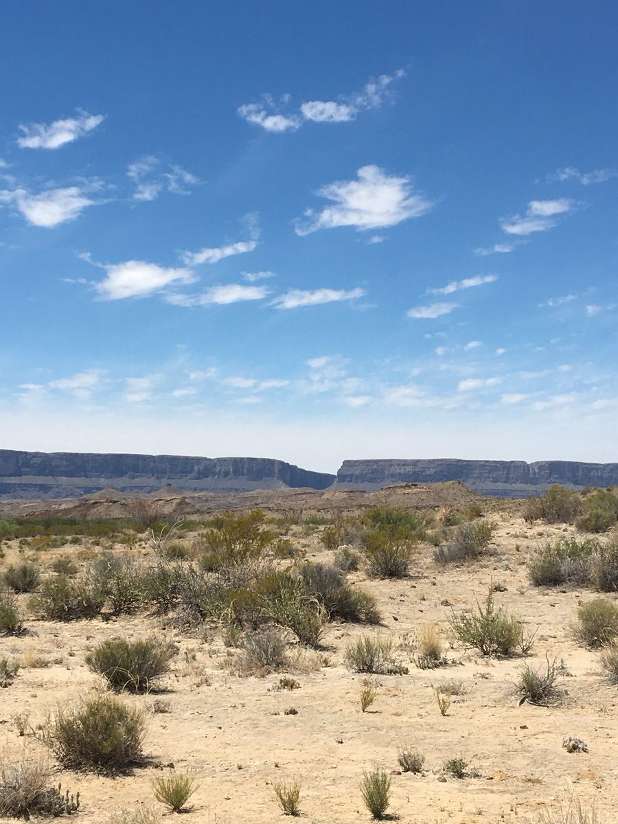 stelJON's tweet photo. Can’t wait to return to Big Bend.⛰⛰🙌 https://t.co/Gl1Q9TyLP5