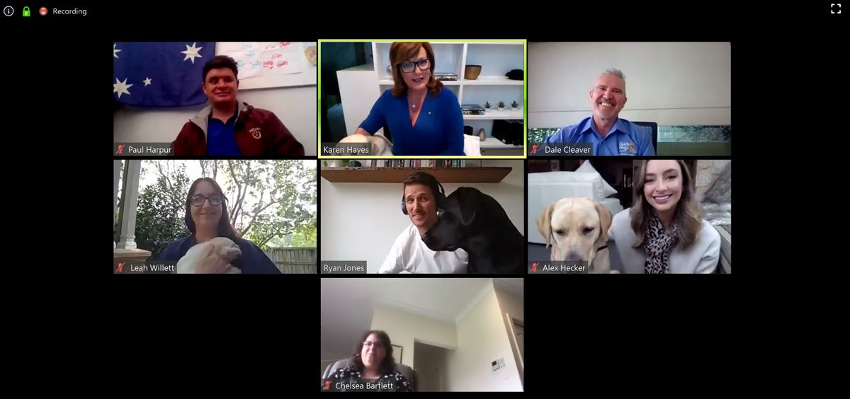 Very important Zoom meeting this afternoon for #internationalguidedogday featuring Zoom, the three year old labrador puppy who will be a guide dog one day. Thanks <a href="/karenlhayes/">Karen Hayes</a> &amp; the teams at <a href="/GuideDogsAUS/">Guide Dogs Australia</a>, <a href="/GuideDogsVIC/">Guide Dogs Victoria</a> &amp; <a href="/GuideDogsNSWACT/">Guide Dogs NSW/ACT</a>