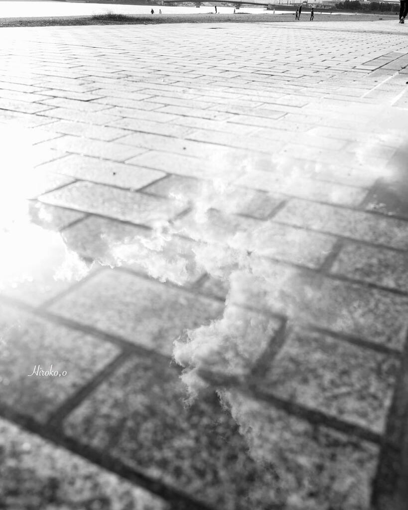 0622_bnw's tweet image. ❥
find something fine
:
:
#puddlereflection
#sky
#upanddown 
#scenery 
#leicaq
#bnw_life 
#leicaphotography 
#staypositive instagr.am/p/B_jNpKuHjMm/