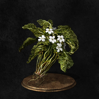 تويتر Acid Bakery على تويتر 以前から薄々思ってたけど言わなかった事があるんですが みんながお世話になってきた緑花草 澄んだ水辺に自生する らしいそれはイルシールの下水と地続きの場所で拾えて そこの汚水ムカデがドロップするので 要するに人の排泄物を