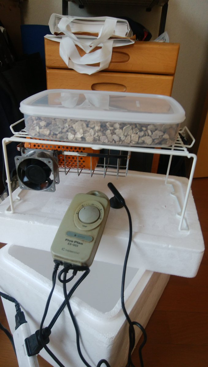graecaZ's tweet photo. 亀の孵卵器を作り換えた。内部はこの単純さ、ひよこ電球、ファン、センサー https://t.co/y13ljKw6Z7