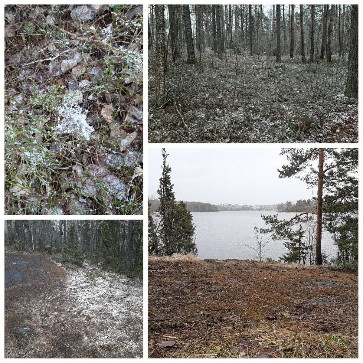 leilaarmila's tweet photo. Wednesdaymorning walk #thehomeofthecurious - calm but white. #remotelife #socialdistance # eightweek https://t.co/izIvRreMbA