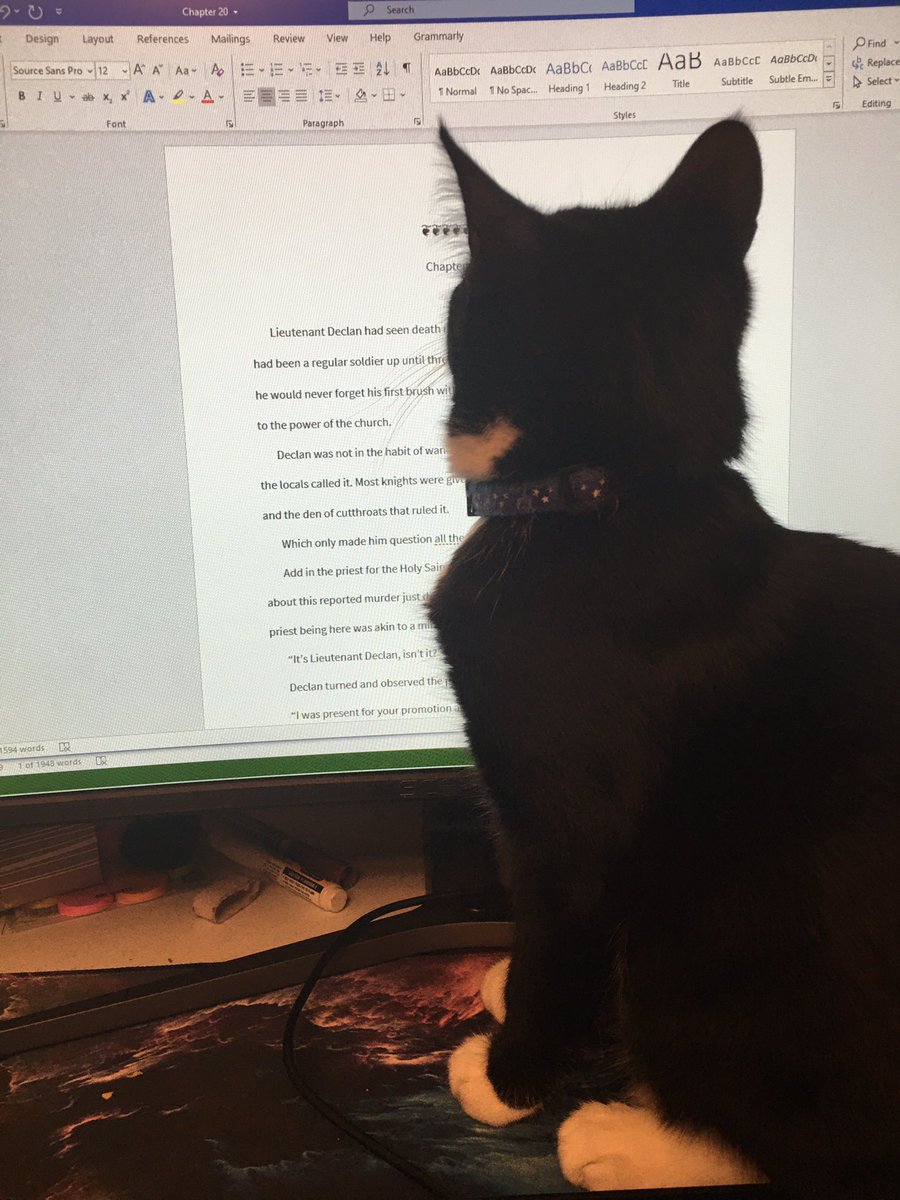 VeraAnneWolf's tweet photo. My editor hard at work π
#KittenEditor #amwriting https://t.co/deAgdBg7eI