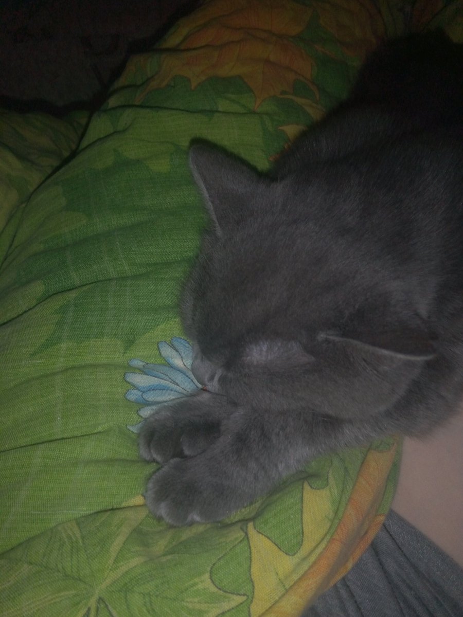 Это важно