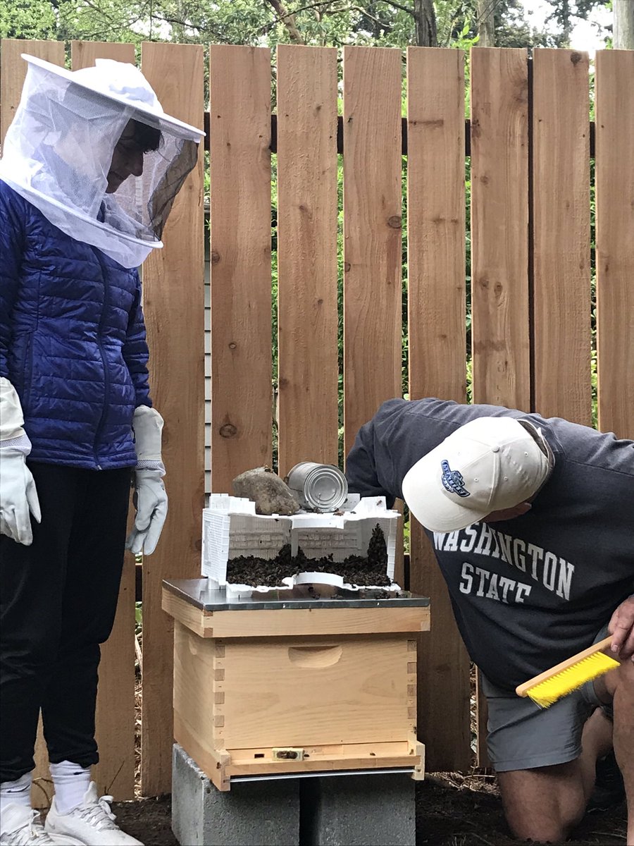emilyarm99's tweet photo. I received a surprise delivery of my bees this morning! Most had passed and it didn’t include my hive. We found another hive, be strong little 🐝! (Thanks for the help dad ☺️).  #beekeeping https://t.co/Iemdtc8raN