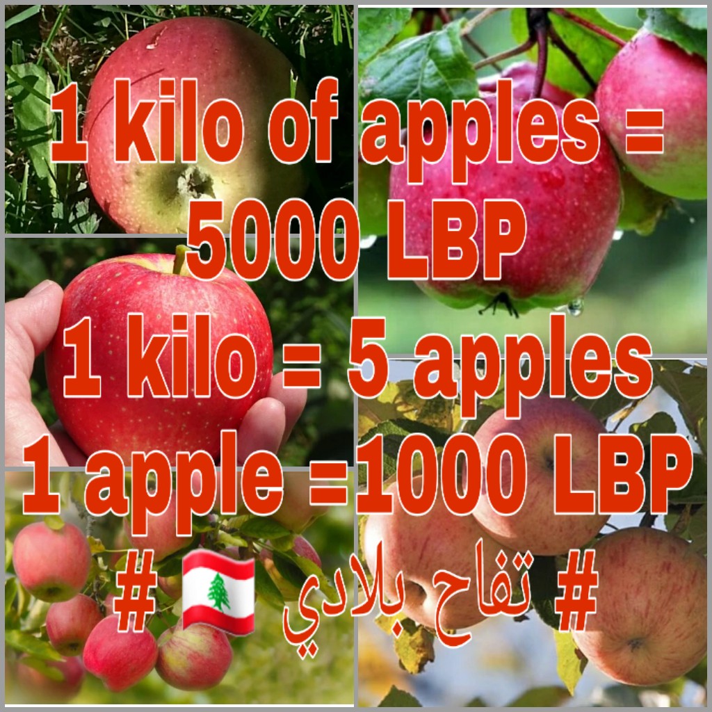 ghadaaj3's tweet photo. #أسعار نار # https://t.co/c1VbXSwYJn