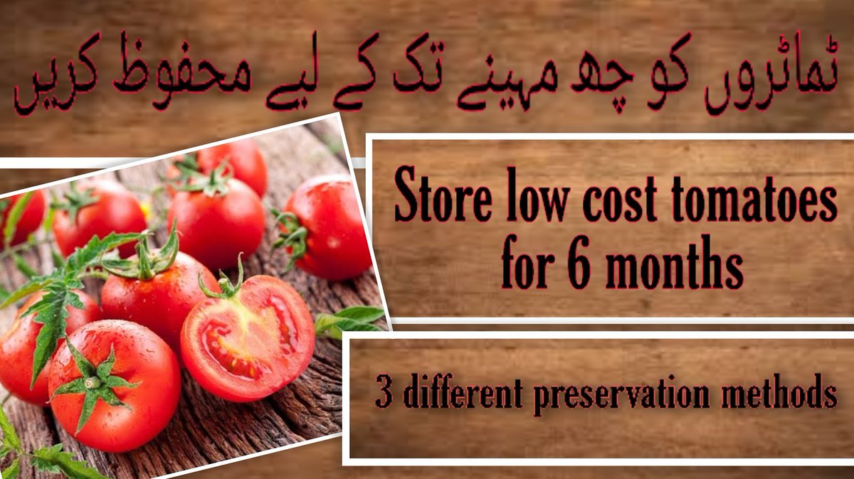 uffairaas's tweet photo. Watch complete video 👇🏻
https://t.co/6sdVxoi2wE

In this video #nutritionist Uffaira demonstrated with steps and descriptions #how_you_can_store #tomatoes for long time,with the same #taste &amp; #flavour.

So when ever u find #low_price or #good_quality tomatoes, #buy &amp; #store. https://t.co/Xnr299C2Cd