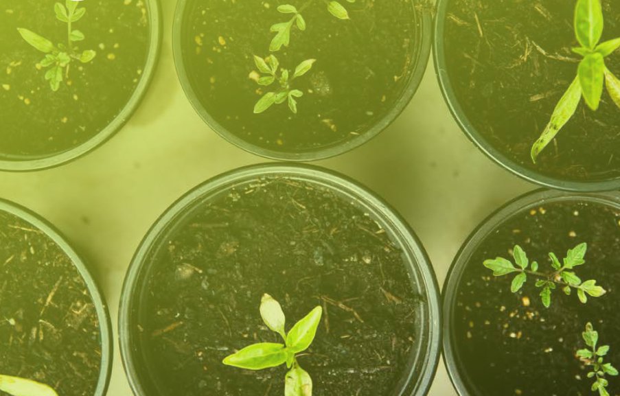 Leren thuis en op school combineren? Speciaal hiervoor hebben we de IPC-unit 'Blijven groeien' ontwikkeld voor groep 3 tot en met 8. Het staat iedereen vrij dit materiaal te gebruiken, ook leerkrachten die niet met IPC werken. mailchi.mp/ipc-nederland/…
#samenblijvenleren #Onderwijs