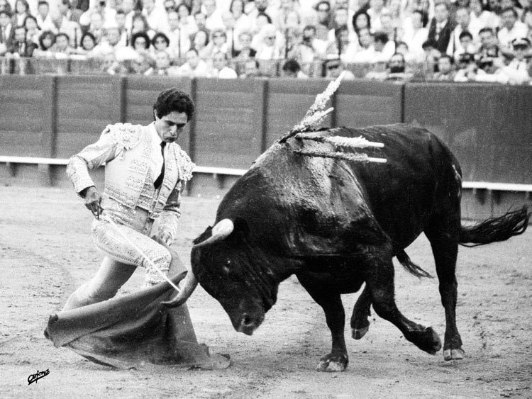 cuartotercio's tweet photo. 🗓 Efemérides 29 de Abril

👉1973 Alternativa de José Antonio Campuzano con el toro “Simpatía”

👉1998 Ortega Cano corta dos orejas en la de Jandilla

👉2000 Morante corta 2 orejas y cornada en el sexto https://t.co/Y7dZMU4oql