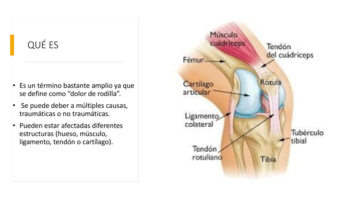 SADUSoficial's tweet photo. ¿Problemas de espalda, cadera o rodilla? Desde nuestra Unidad de Medicina del Deporte te ofrecemos algunos consejos para superar o prevenir estas dolencias #lumbalgia #coxalgia #gonalgia @unisevilla https://t.co/TQnWQ8Rs7W

#SADUSenCASA #USenCASA https://t.co/vQdjEbg10t