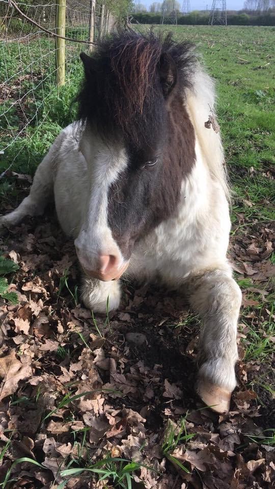 Sandwell Council tweet media