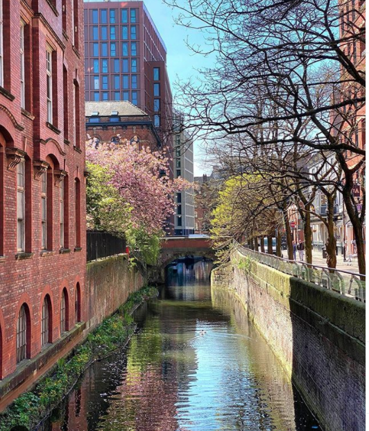 mcrnewsquare's tweet photo. #CanalStreet and #ManchesterNewSquare looking stunningly peaceful during lockdown☀️⛅️ https://t.co/O6yoJ9UihQ