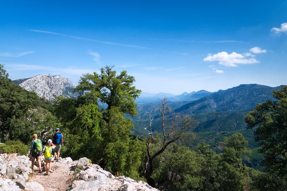 EvolutionTravel's tweet photo. Lo sapevi che in #Sardegna c'e' il #canyon più grande d'#Europa?
Parliamo della gola di #Gorropu, un bellissimo e suggestivo #canyon naturale di origine carsica.
🌿 Un luogo ideale per gli amanti del #trekking e della #natura.
#viaggi #viaggiare #italia https://t.co/ahDE87Ltp3