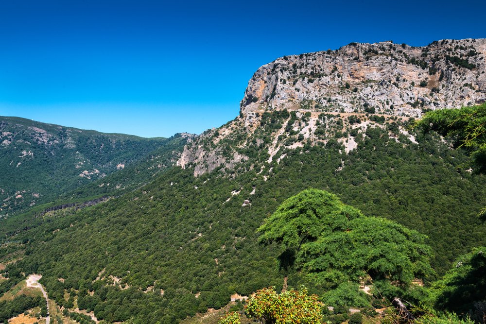EvolutionTravel's tweet photo. Lo sapevi che in #Sardegna c'e' il #canyon più grande d'#Europa?
Parliamo della gola di #Gorropu, un bellissimo e suggestivo #canyon naturale di origine carsica.
🌿 Un luogo ideale per gli amanti del #trekking e della #natura.
#viaggi #viaggiare #italia https://t.co/ahDE87Ltp3