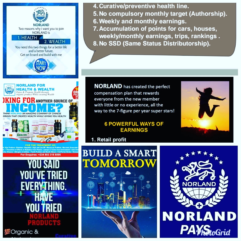 Ritaswat's tweet photo. Hello everyone, are you looking for another source of income along side your job, business, NYSC, school etc, here is a business opportunity to help you build a residual income through MLM with a multinational company called Norland industrial group. Partner with Norland today https://t.co/Ktg59hk4E7