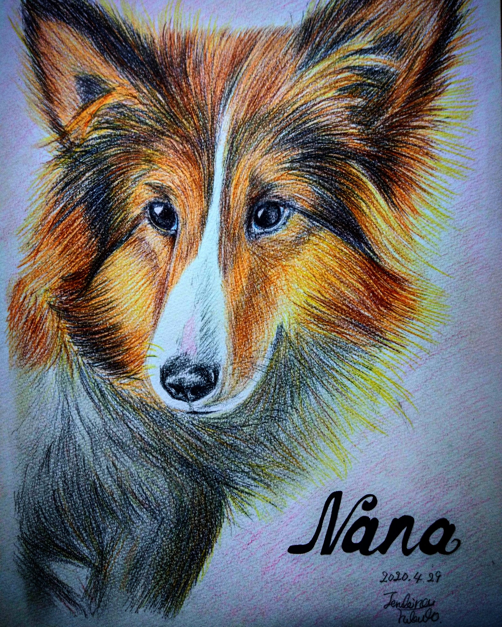 照喜名 على تويتر うちの祖母の犬を描きました 初の動物ですけど 顔は頑張りました 動物の絵 犬の絵 色鉛筆画 絵描きさんと繋がりたい 拡散希望