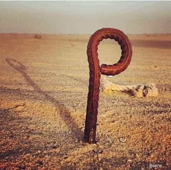 يقال أن إبليس أراد الرحيل من مكان كان يسكن فيه مع أبنائه
فرأى خيمة فقال لا أُغادرن حتى أفعلن بهم الأ...