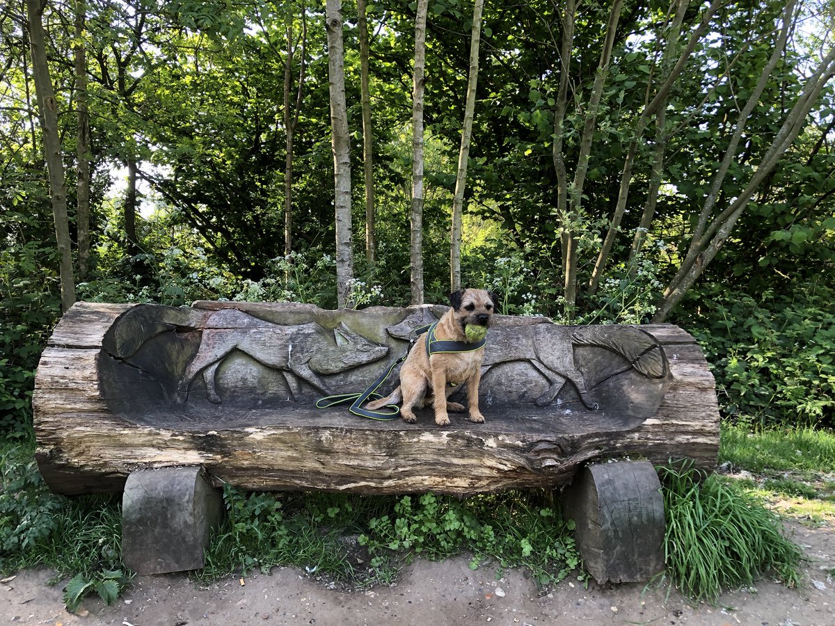 percythepatdog1's tweet photo. More lovely sentiments to be found on Tooting Common.Percy found these two hand painted wooden discs on our walk home. How many can you find? @Penwortham212 @PetsAsTherapyUK #communityspirit #afterthestormcomestherainbow #weallsmileinthesamelanguage #patdogdiaries #patdogdiary https://t.co/t2MBtguK0G