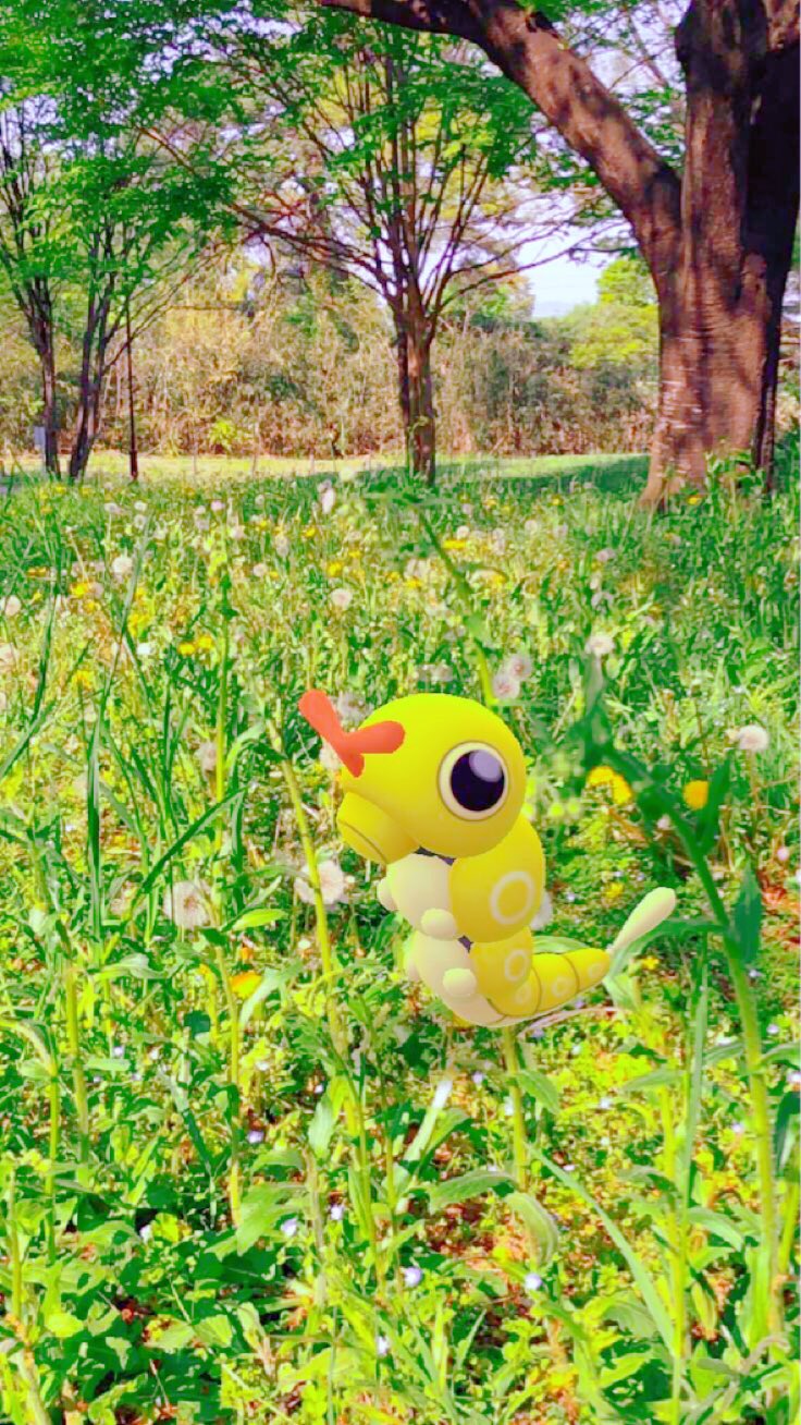 キャタピー色違い Twitter Search Twitter