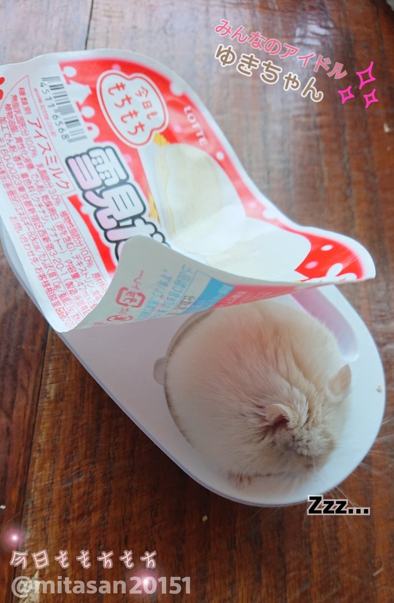karushione's tweet photo. ごちそうさまでした(笑)
@K50108
@mitasan20151 https://t.co/KhrNiik3O0