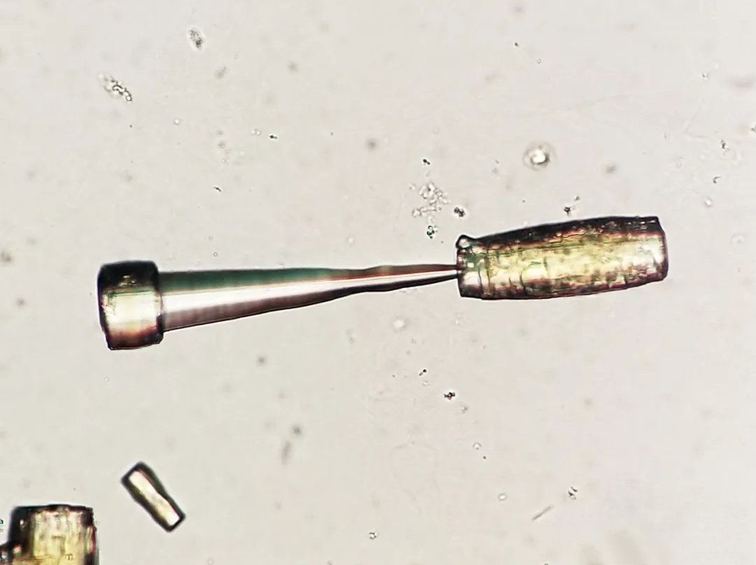 zxnboy (@zxnboy) on Twitter photo 