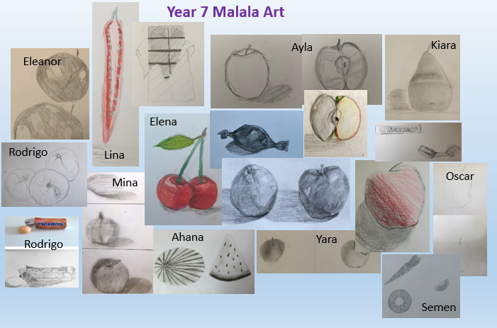 HisartF's tweet photo. Year 7's Art gallery! Drawing from direct observation using pencil shading techniques.
 #hisartandfood #distancelearning #HISDubai https://t.co/FM5uGURYMp