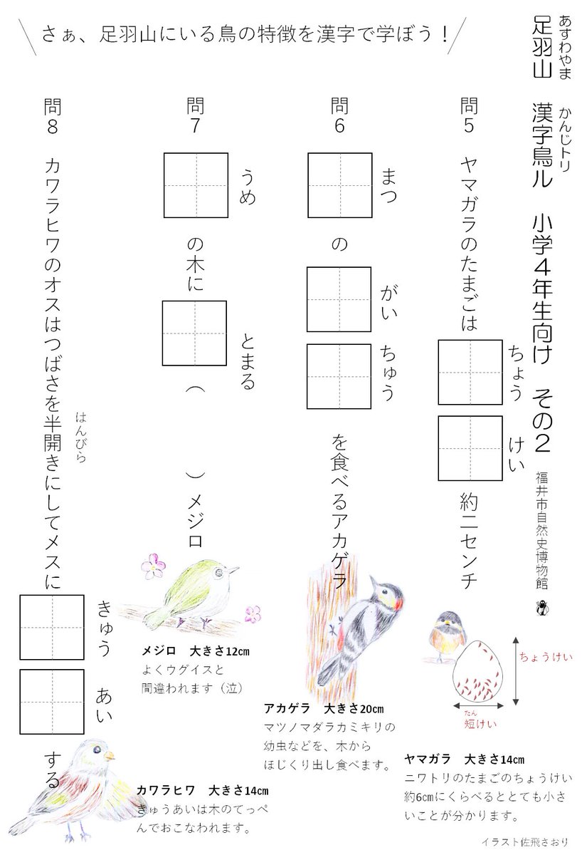 福井市自然史博物館 お待たせしました 野鳥漢字ドリル 小学３ ４年生用アップしました 野鳥の生態に関する例題で 漢字を学びながら野鳥も詳しくなっちゃいます T Co Wubafvwqtd ページ最下部から小１ ４年生用をダウンロードできます